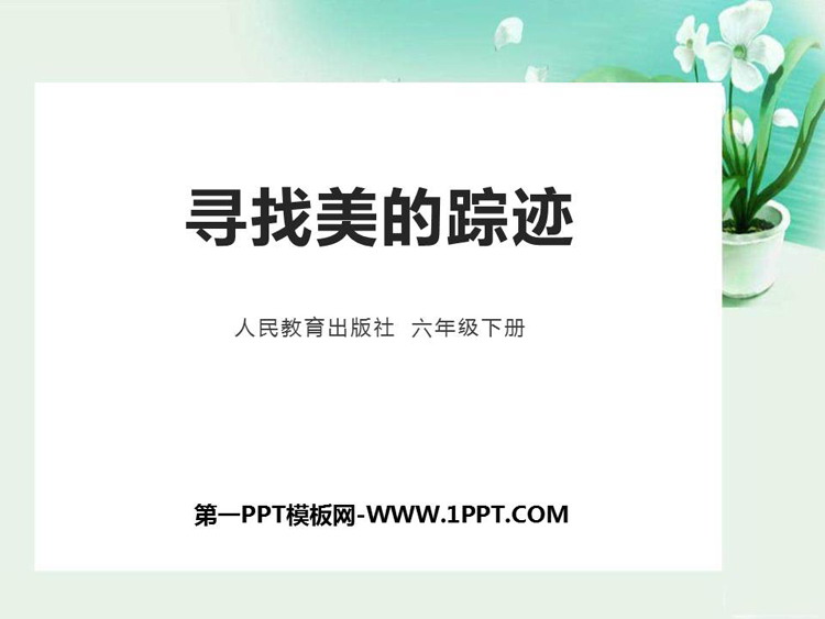 《寻找美的踪迹》PPT优秀课件