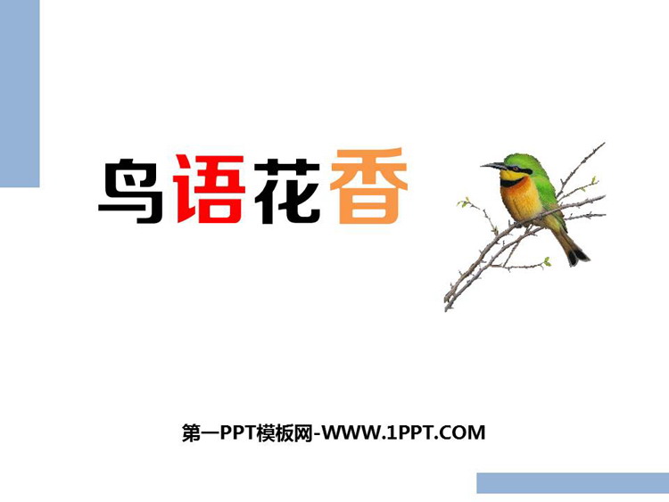 《鸟语花香》PPT优质课件