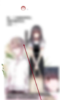 img_6a152c684425531.png
