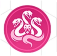 img_6a1555afe8f5932.png