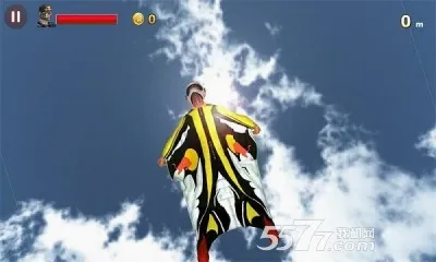 翼装飞行