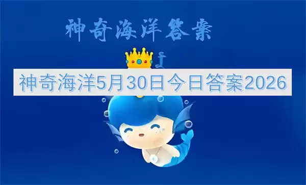 img_6a1a862e3b93c30.webp