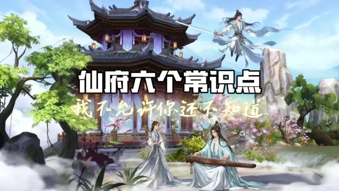 img_6a1c21be38b6030.webp