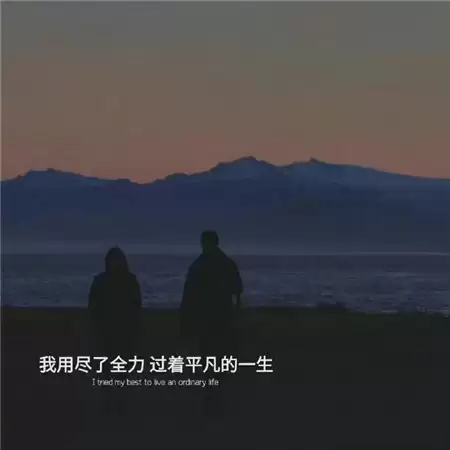 img_6a1cf8323086132.webp