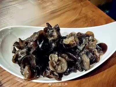 img_6a1d476ab472d32.webp