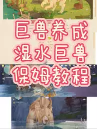 img_6a1e63b5c846130.webp