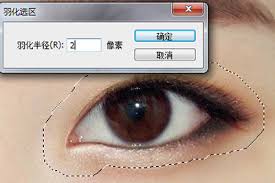 img_6a1fb86465c8e30.jpg