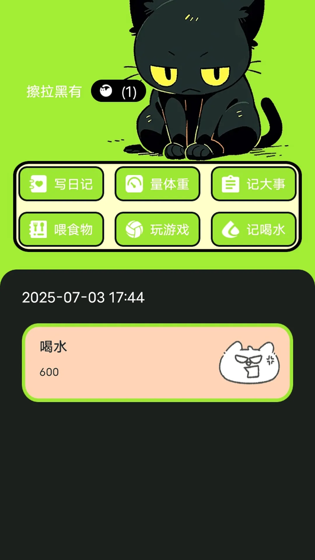 村庄叮叮猫(猫咪养宠
