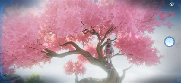 img_6a1feeb46e13f34.png