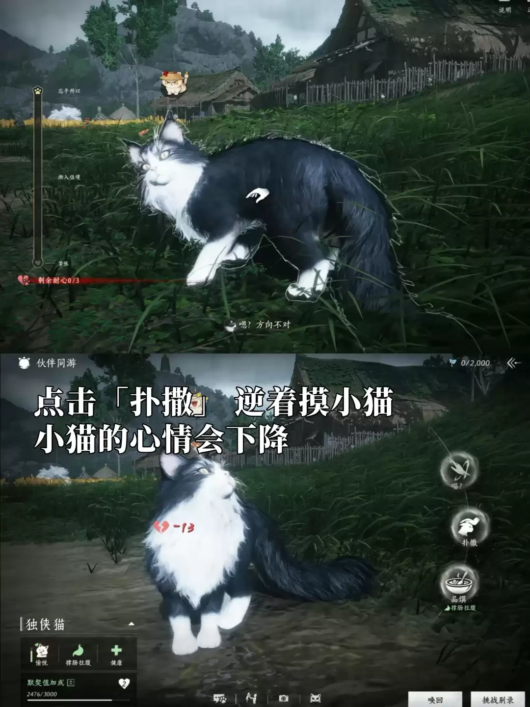 img_6a1ff1aeb949430.webp