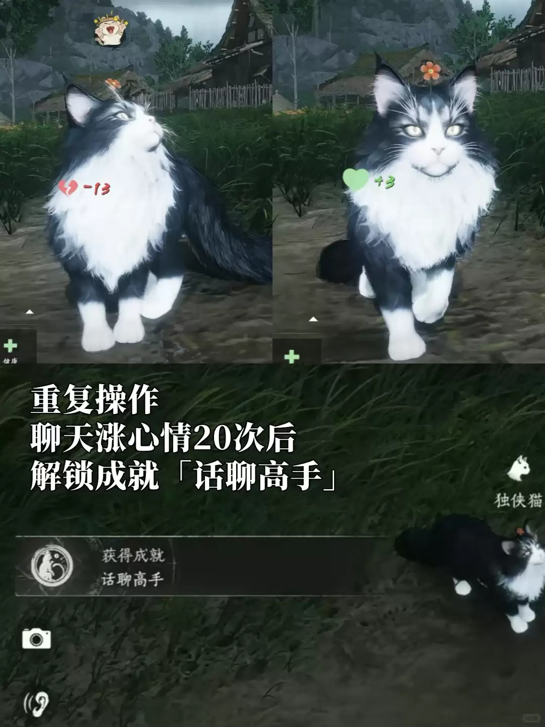 img_6a1ff1af0251032.webp