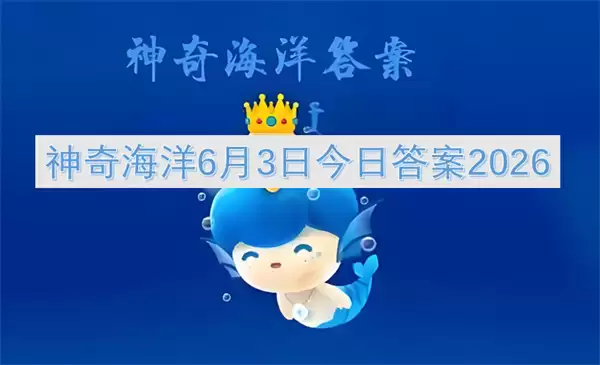 img_6a1ff5a9b64bc30.webp