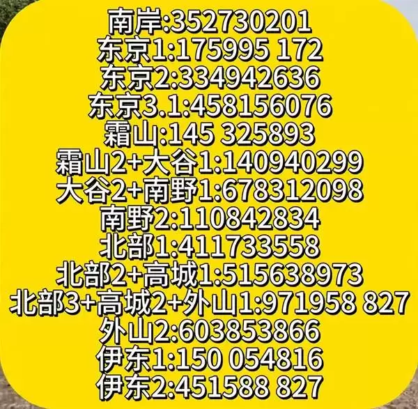 img_6a21150292a5c30.webp