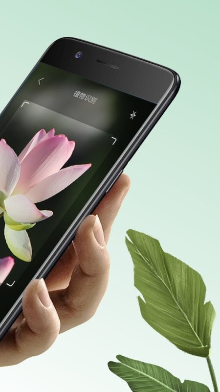 万物识图 1