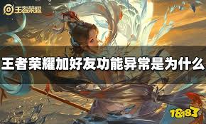 王者荣耀加好友功能异常怎么办