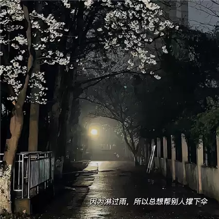 img_6a221b0a77ffa34.webp