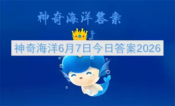 img_6a25261a2c96230.webp