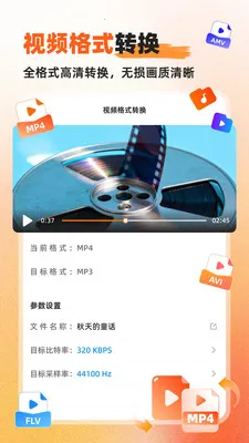 硬柿子音视频转换器