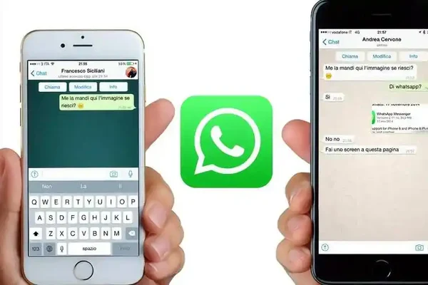 WhatsApp注册教程手机号验证和账号设置流程图