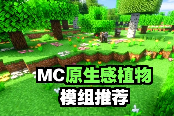 我的世界mod与基岩版附加包区别示意图