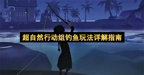 img_6a292e85e8b2530.webp