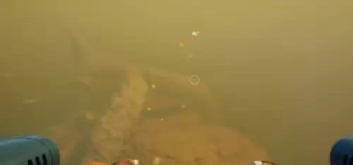 高温海域