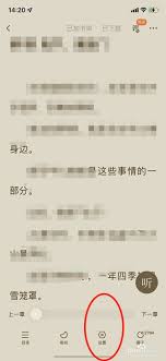 img_6a2945a2e565d30.jpg