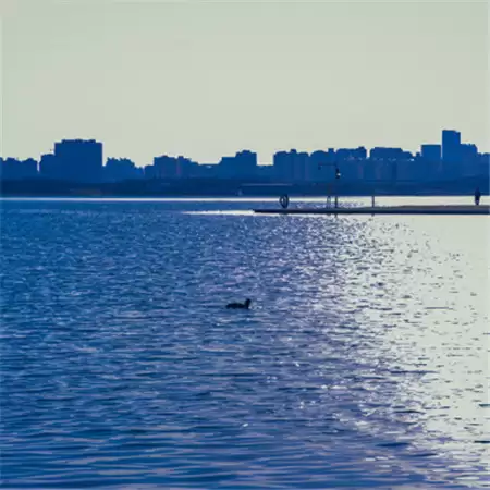 img_6a2a0bc64c99730.webp