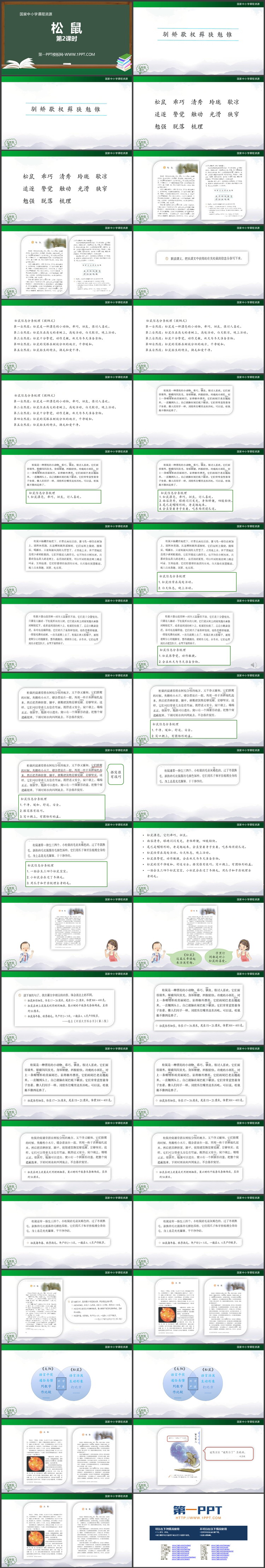 《松鼠》PPT课件资源下载（第二课时）