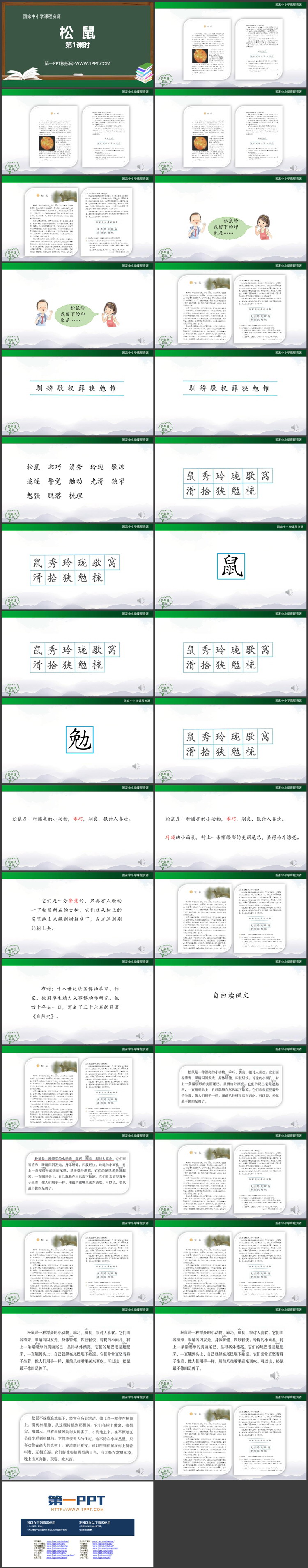 《松鼠》PPT课件资源下载（第一课时）