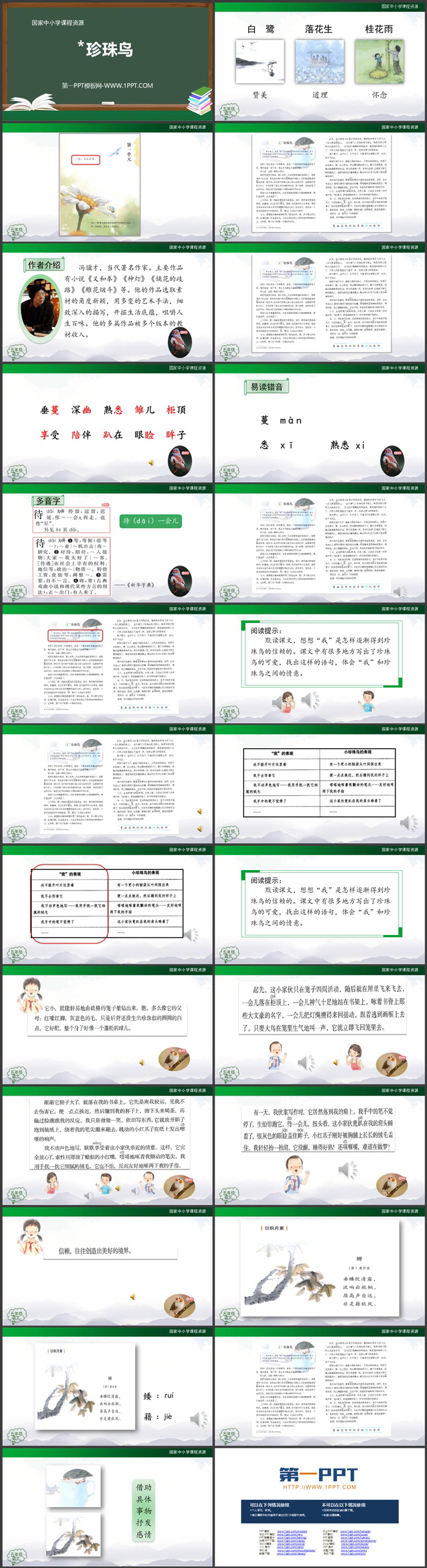 《珍珠鸟》PPT教学课件资源免费下载