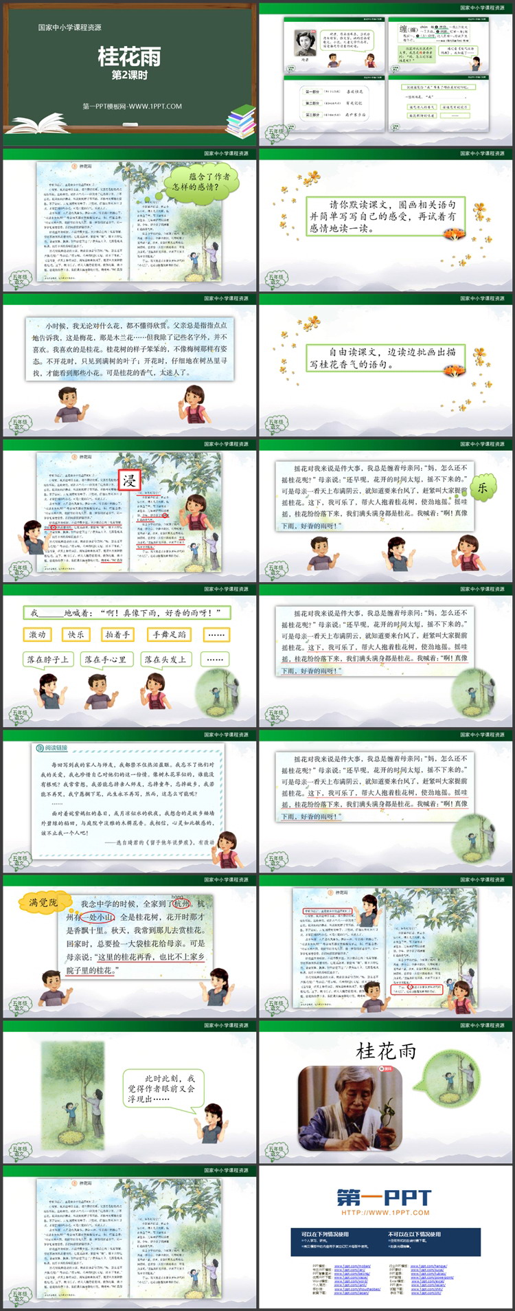 《桂花雨》PPT课件资源下载 第二课时