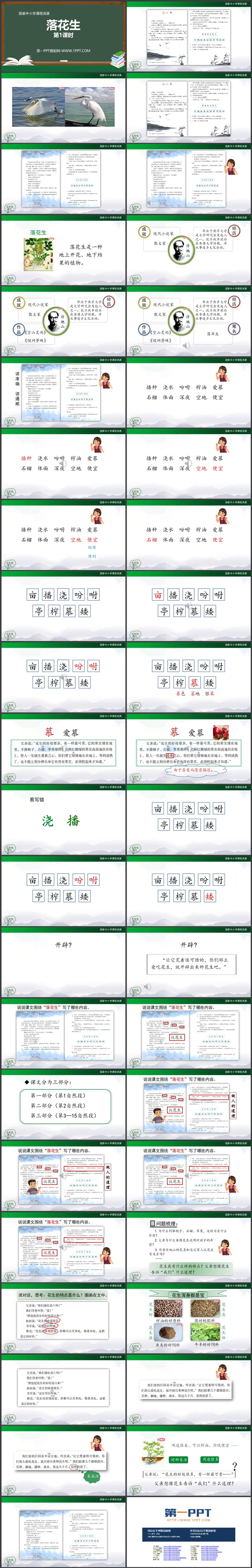 《落花生》PPT优质课件第一课时