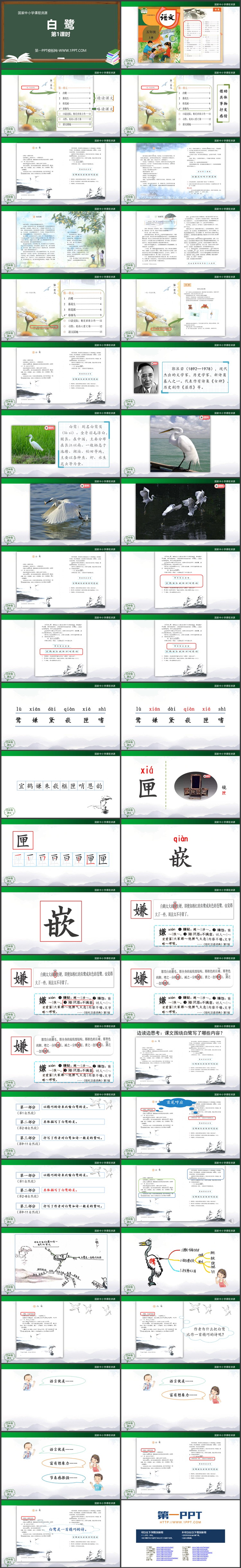 《白鹭》优质PPT教学课件第一课时