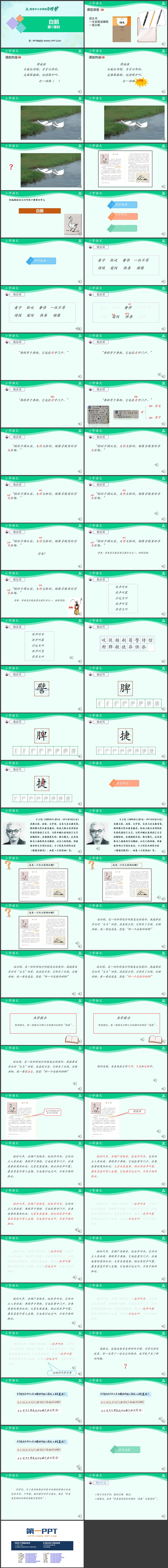 《白鹅》PPT课件免费获取（第一课时）