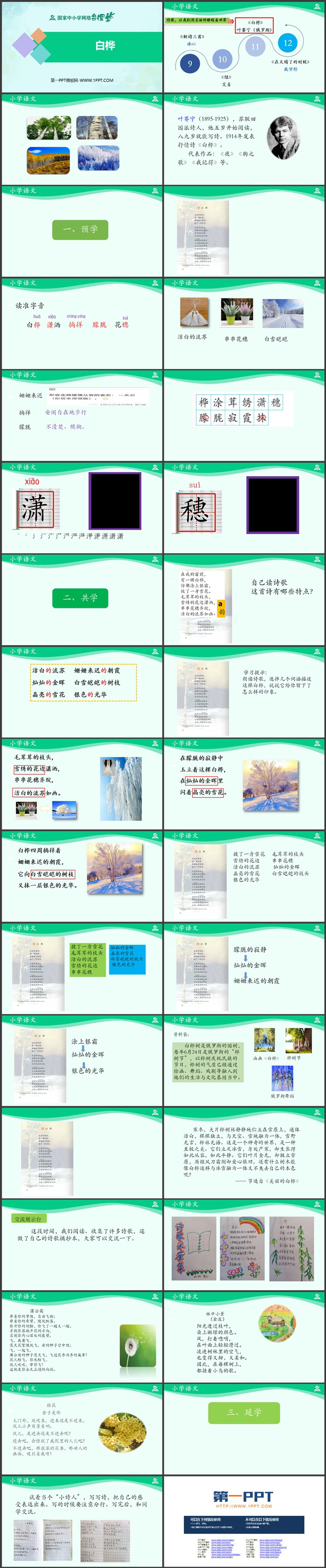 《白桦》PPT课件免费教学资源