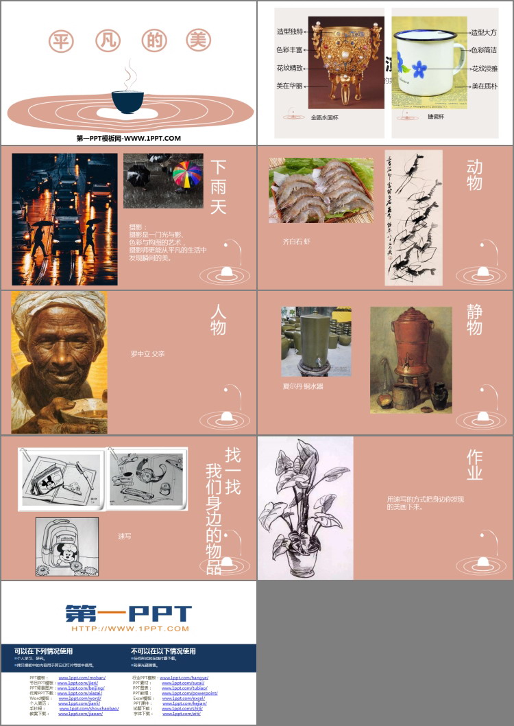 《平凡的美》优质PPT教学课件