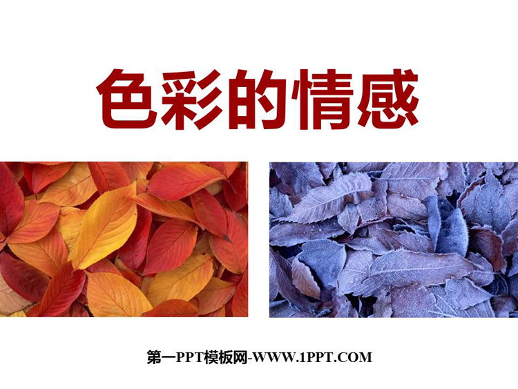 https://images.pptxz.com/uploads/20260611/img_6a2ad58d36f2830.jpg