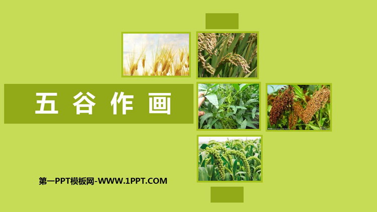 《五谷作画》PPT优质教学课件
