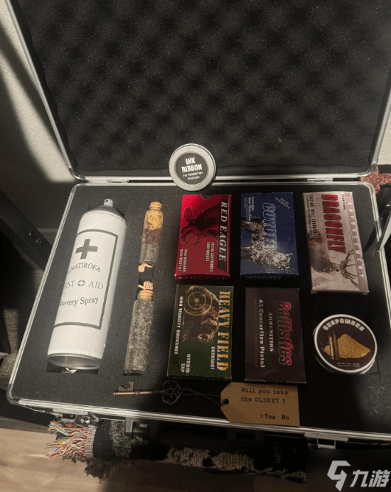 实名羡慕!十年老粉晒超豪华《生化危机》主题房间