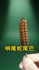 img_6a2cd87017f3731.jpg
