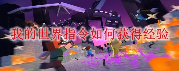 img_6a2d1315d30f530.webp