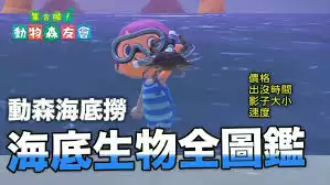 img_6a2f7c6e0cd7431.webp