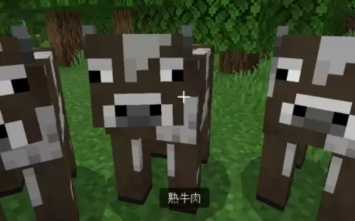 我的世界怎么把生牛肉变熟-mc生牛肉变熟方法 我的世界怎么把生牛肉变熟-mc生牛肉变熟方法