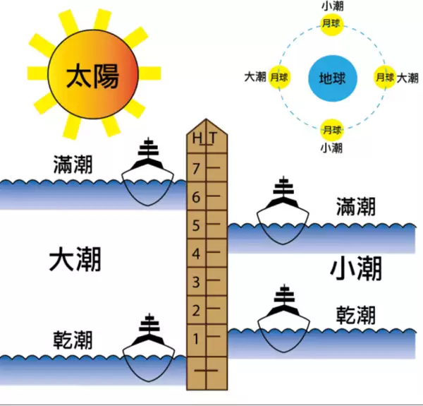 img_6a33a352a1c7531.webp