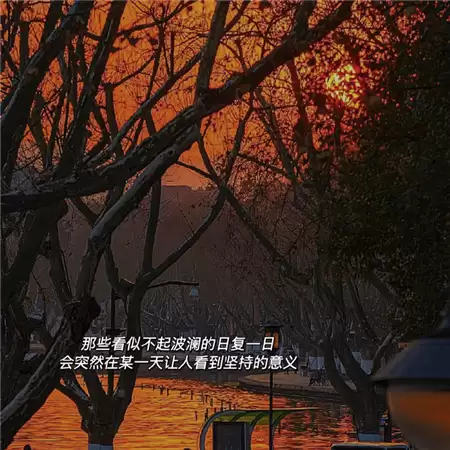 img_6a34962245ee133.webp