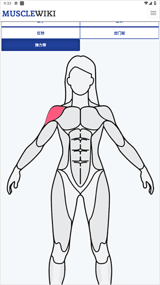 musclewiki手机版