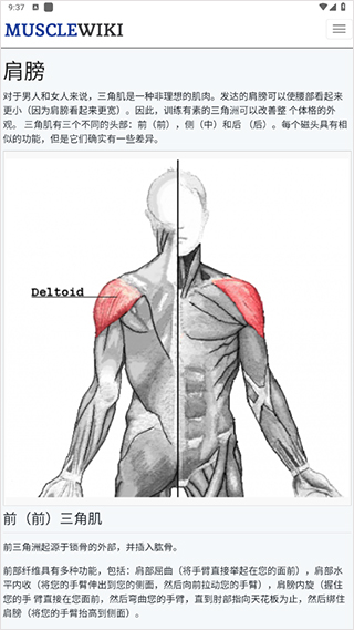 musclewiki手机版