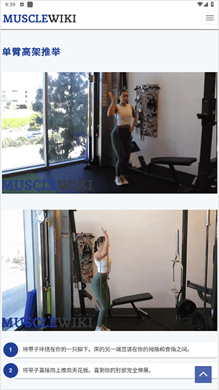 musclewiki手机版