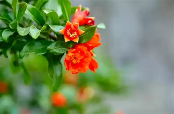 img_6a3bbdc62716131.webp